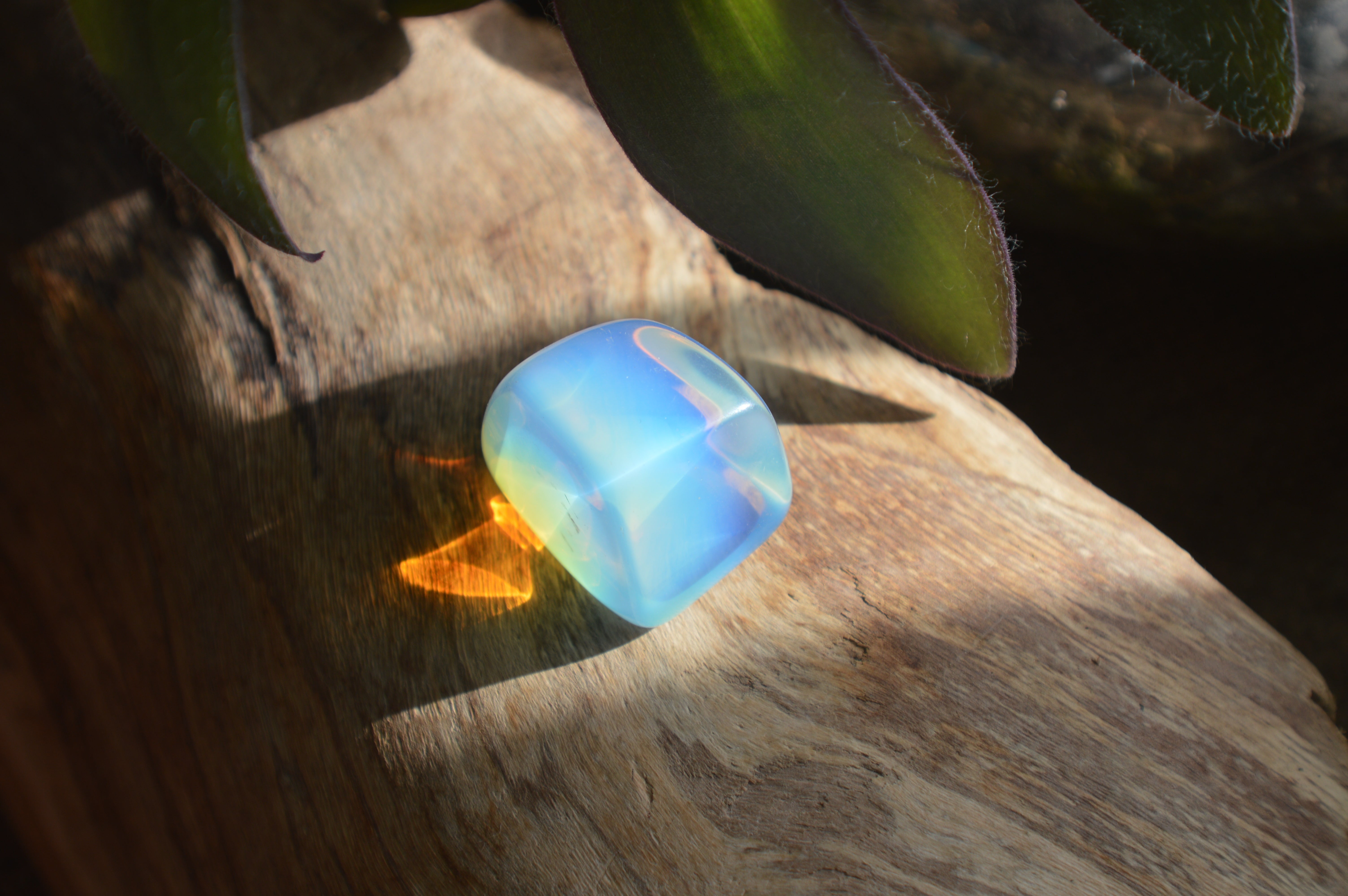 A dark background with a thick wooden branch and beautiful Opalite crystal glistening in the sunlight