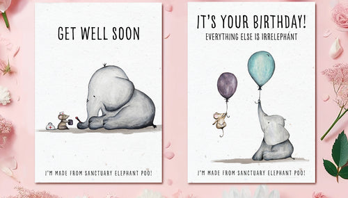 Discover the Eco-Friendly Delight of Elephant Dung Cards at Letterbox Love