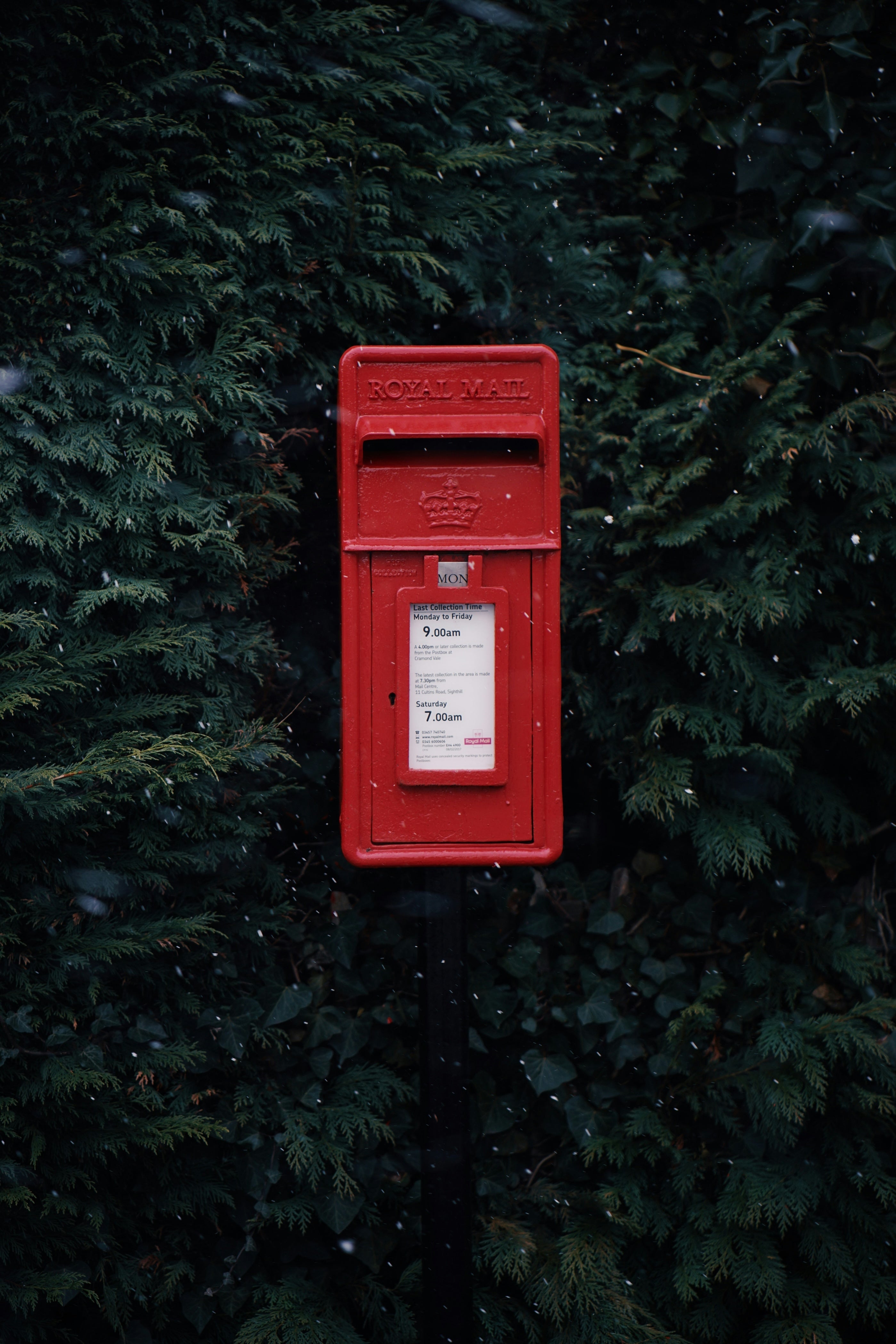Red Christmas postbox in a winter bush