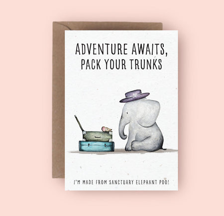 Adventure Awaits Greetings Card