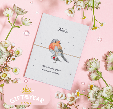 The Little Robin - Seeded Card & Wish Bracelet - letterboxlove