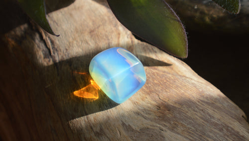 A dark background with a thick wooden branch and beautiful Opalite crystal glistening in the sunlight