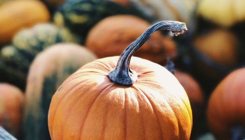 Wooden crate with pumpkins 