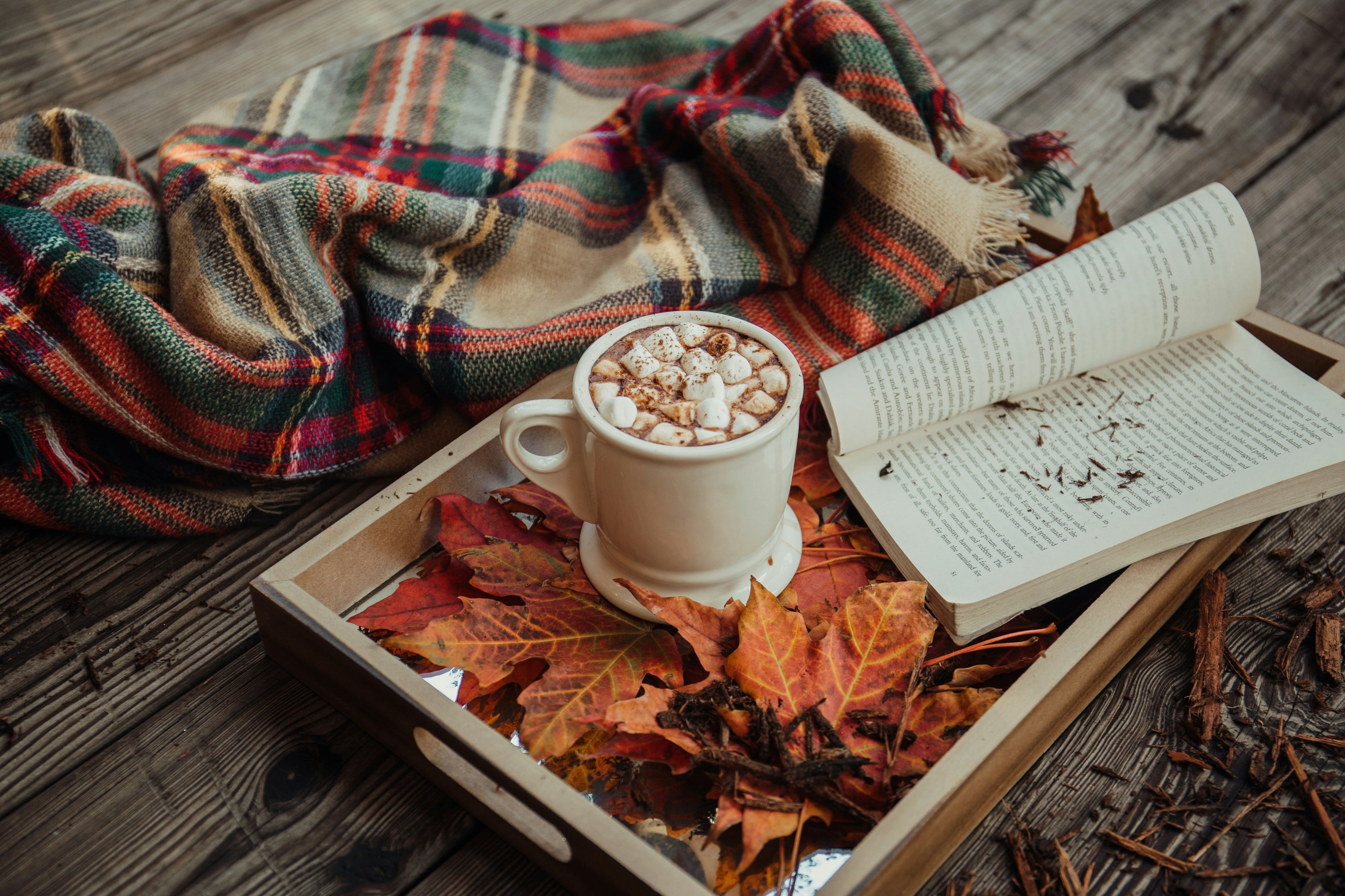 Autumn themed trap with crisp Autumn leaves, a mug of hot chocolate and an open book