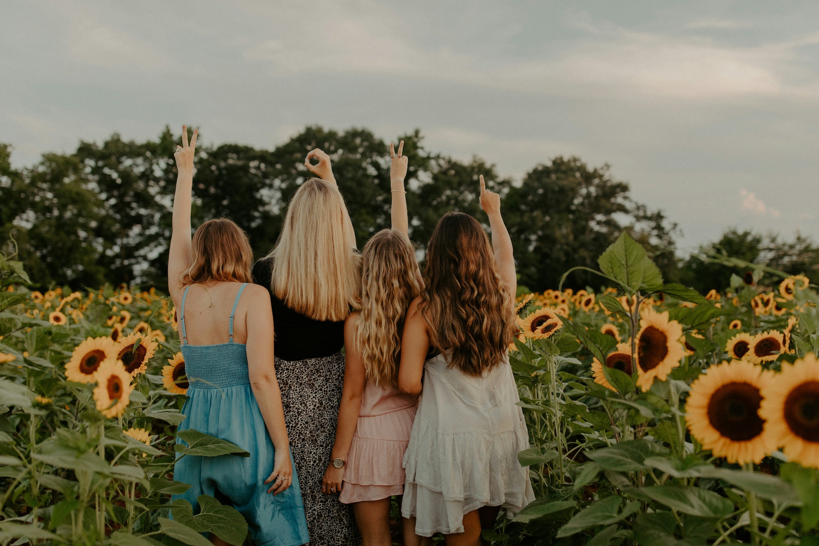 four friends with their arms outstretched in a field of sunflowers