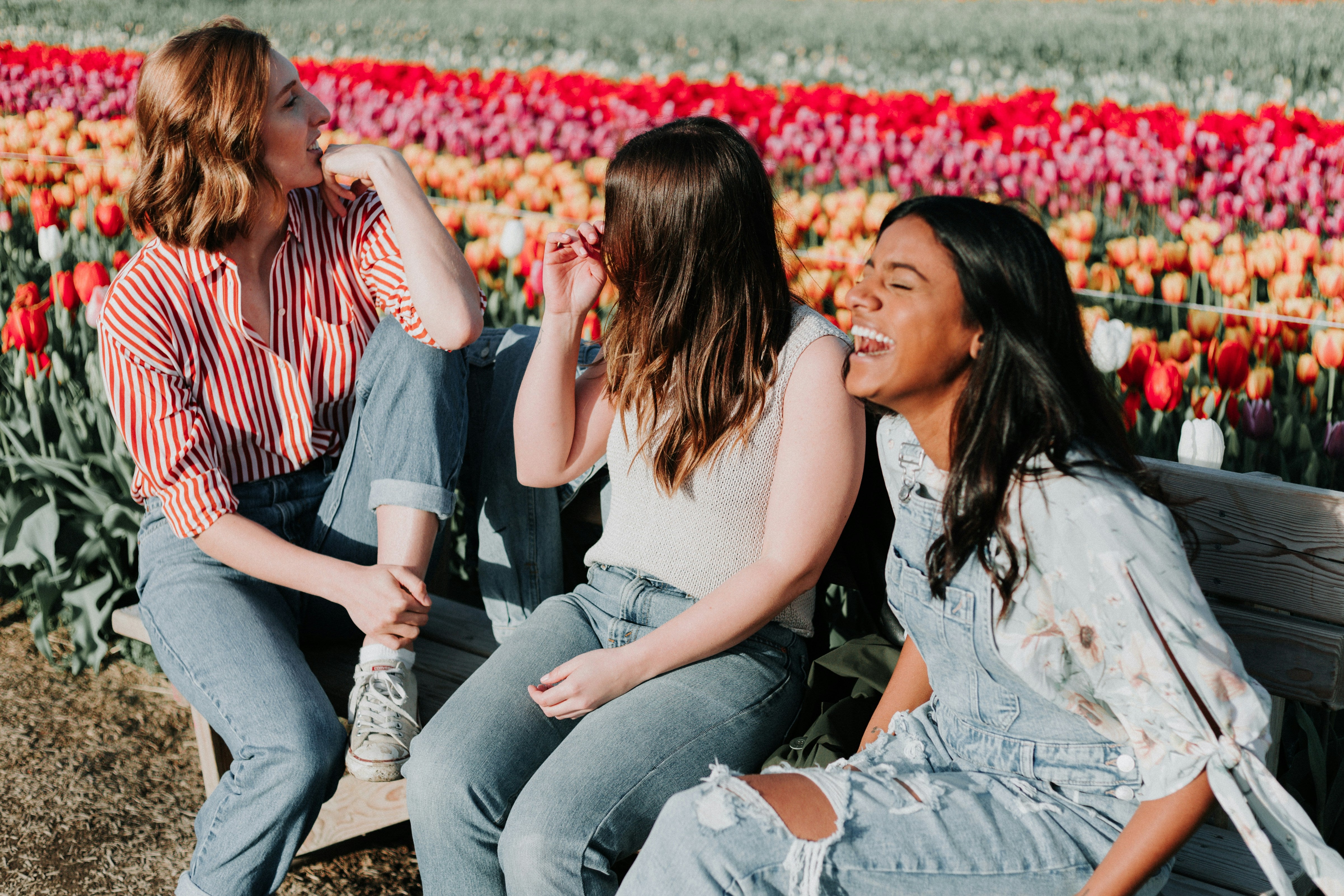 Three friends sitting on a bench in a vibrant tulip field, laughing and enjoying each other's company. They are dressed casually, showcasing a joyful and carefree moment.