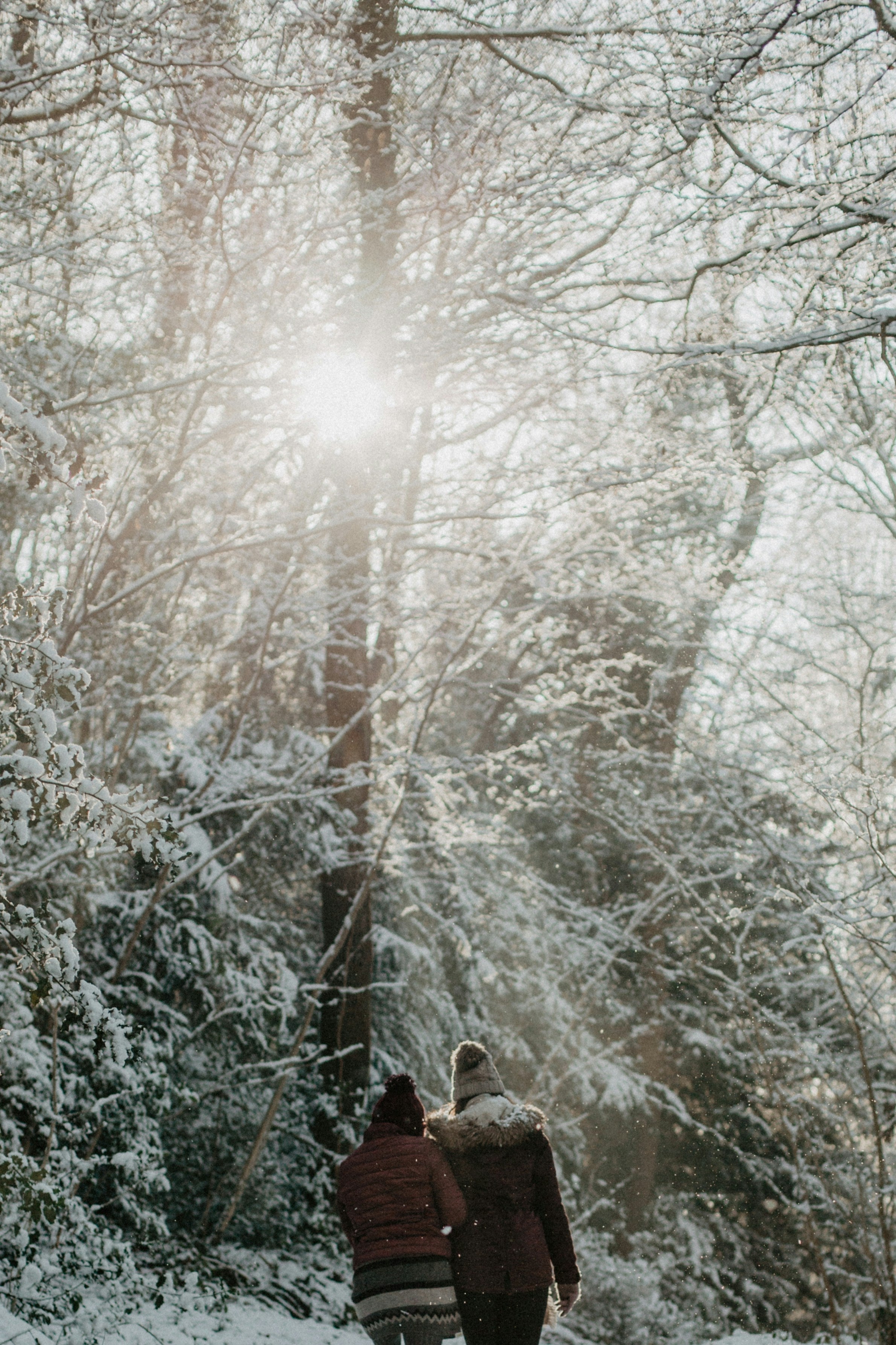 a winter woodland scene with the sun shining through the trees and two sisters walking away from the shot