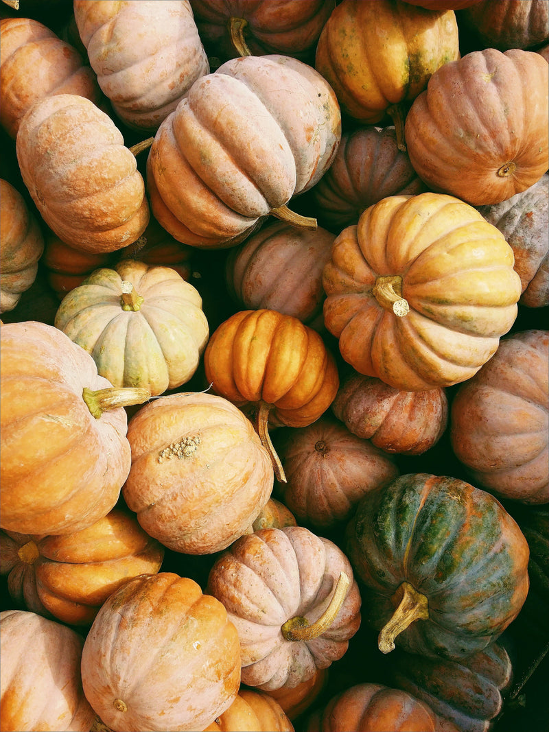a pile of pumpkins for autumn of all different shapes and sizes 