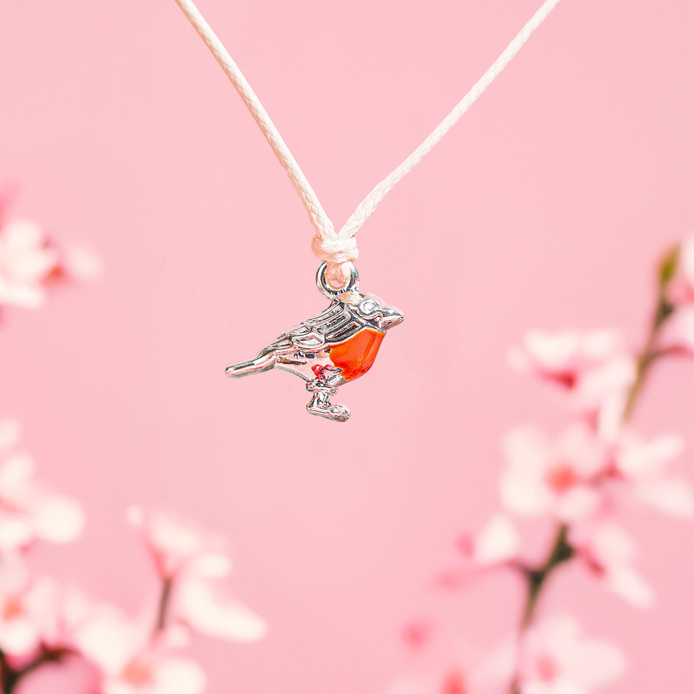 The Little Robin - Seeded Card & Wish Bracelet - letterboxlove