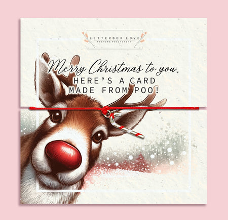 Reindeer Poo Card & Candy Cane Christmas Bracelet
