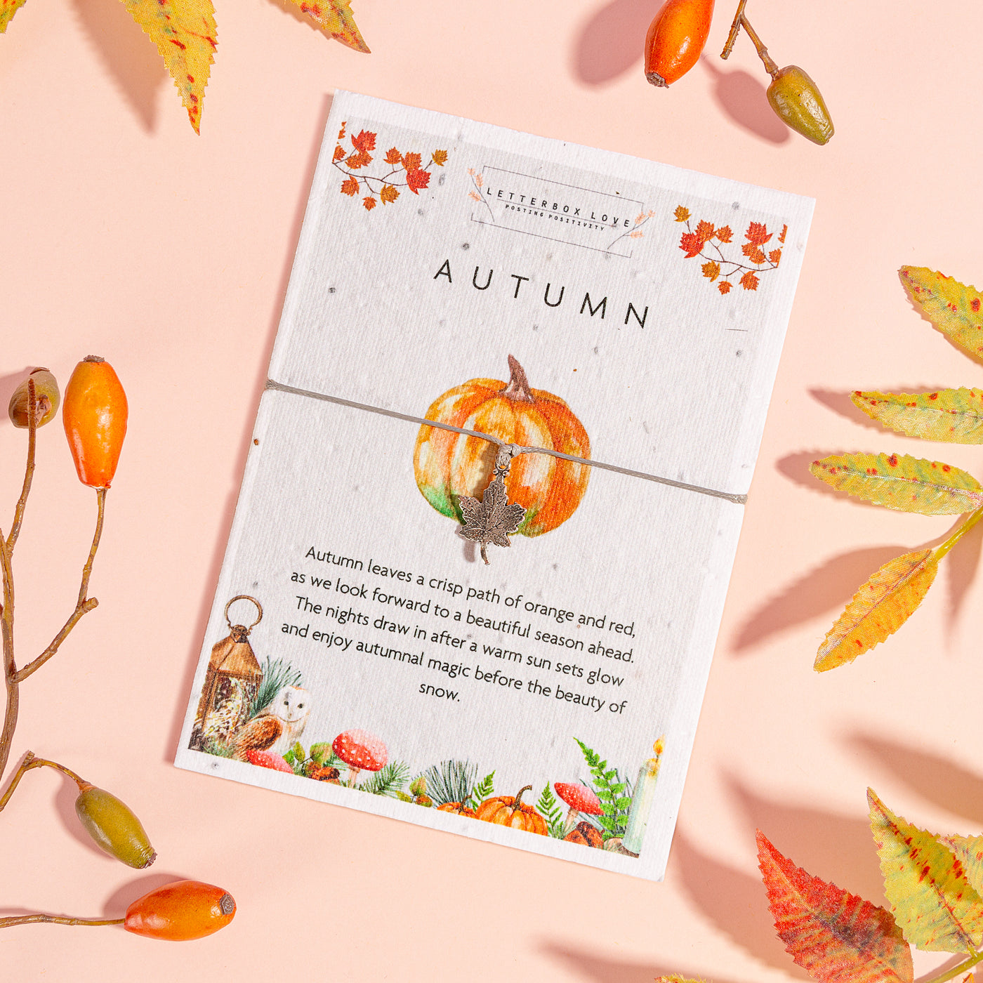 Autumn - Seeded Card & Wish Bracelet - letterboxlove