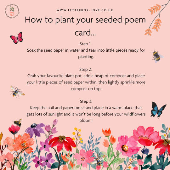 Sympathy - Seeded Card & Wish Bracelet - letterboxlove