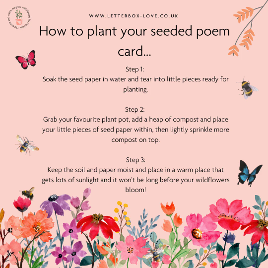 Gardener Gift - Seeded Card & Wish Bracelet - letterboxlove